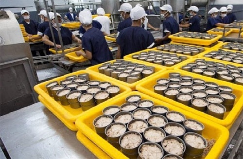Suasana di pabrik pengalengan ikan tuna.